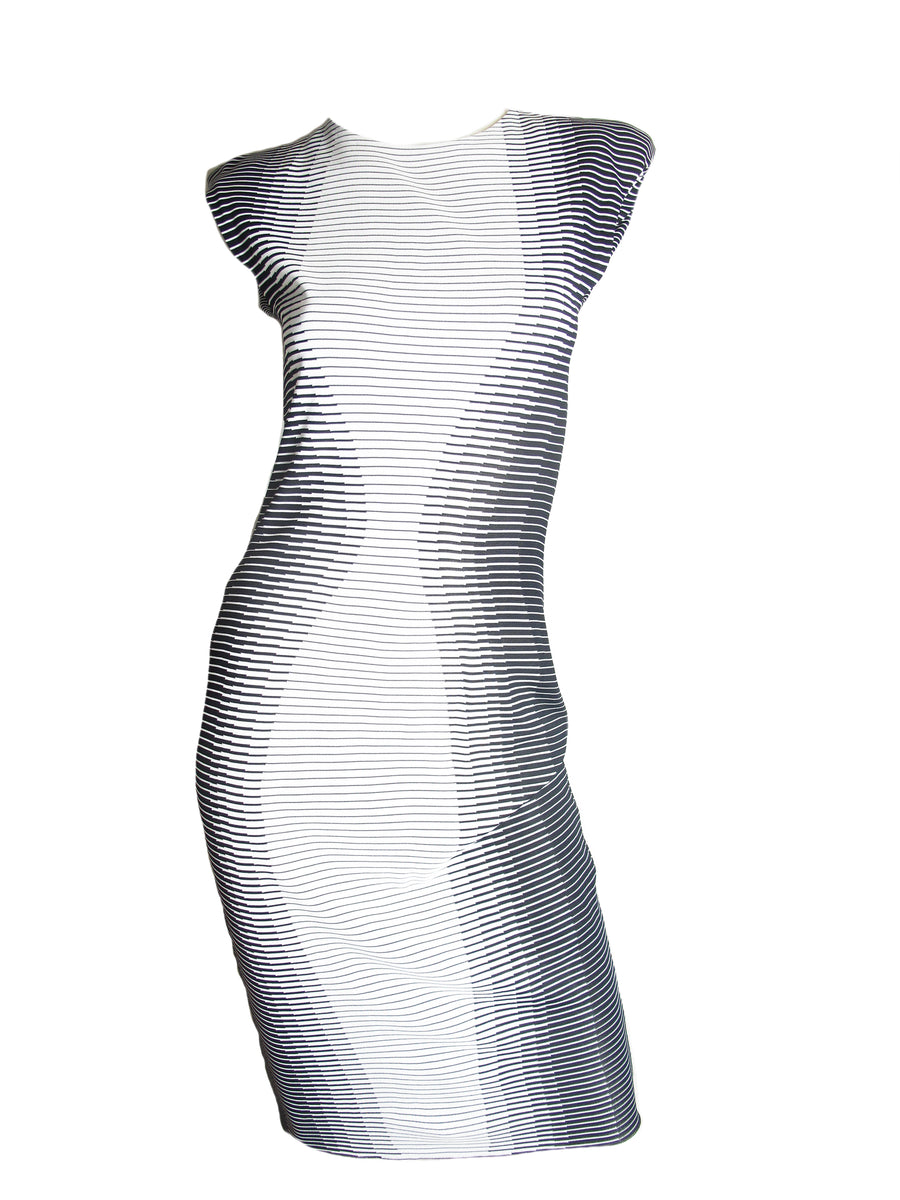 ALEXANDER McQUEEN 2009 Optical Illusion Dress
