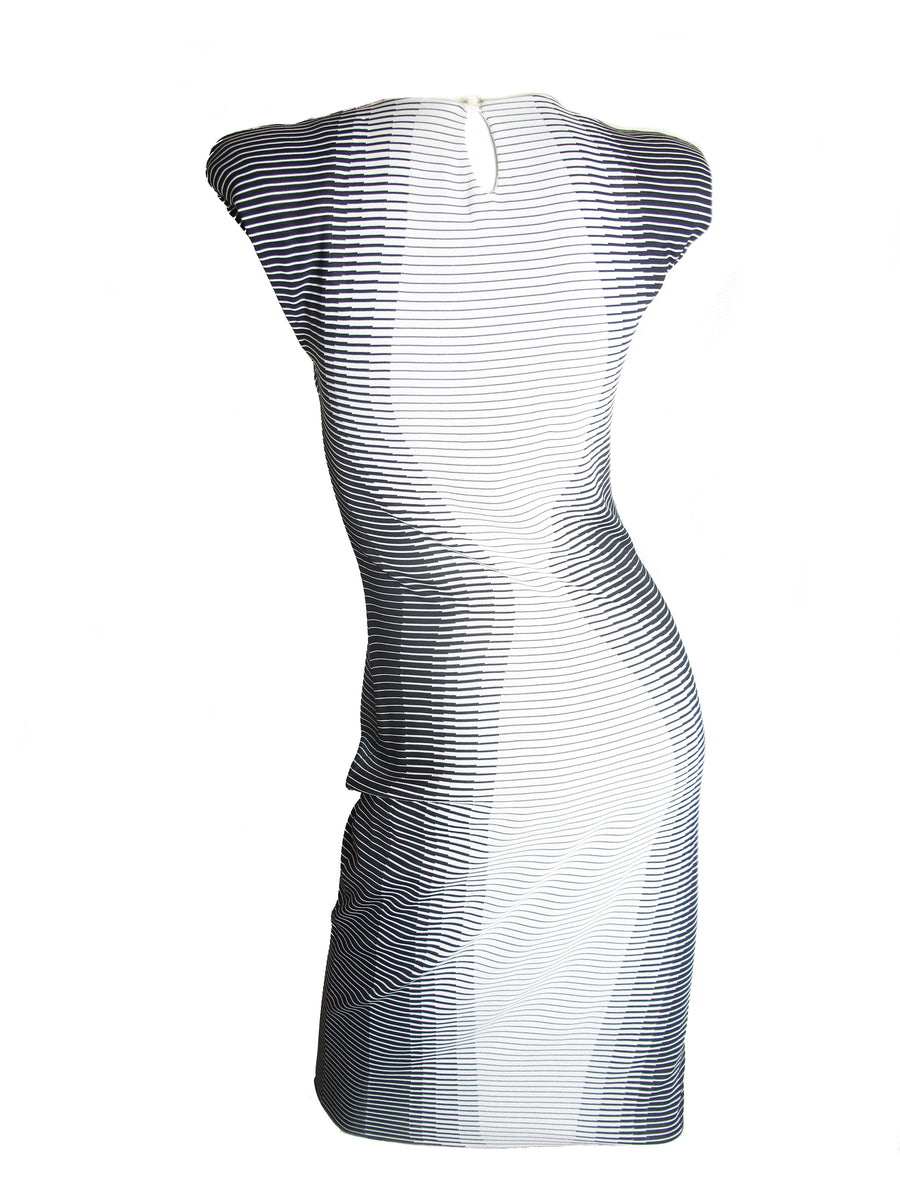 ALEXANDER McQUEEN 2009 Optical Illusion Dress