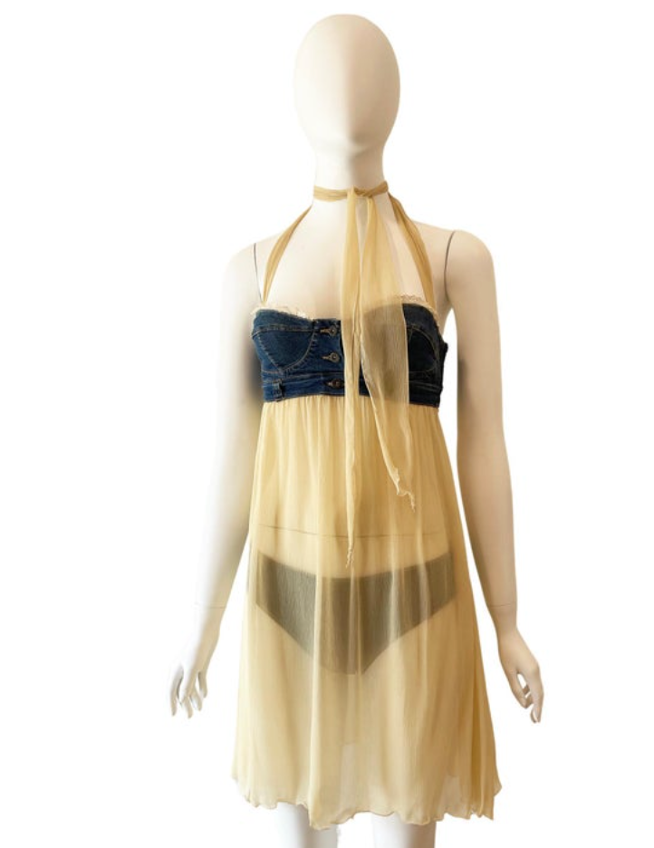 D&G Sheer Dress with Bustier