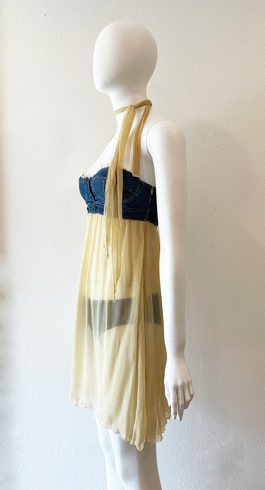 D&G Sheer Dress with Bustier